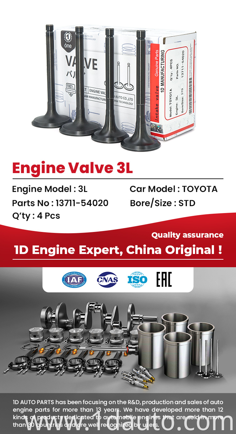 Toyota 3L Engine Valves 